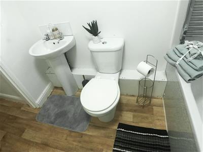 Picture 8